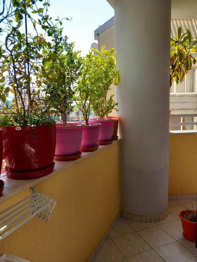 Holiday Center Apartment شكودر المظهر الخارجي الصورة